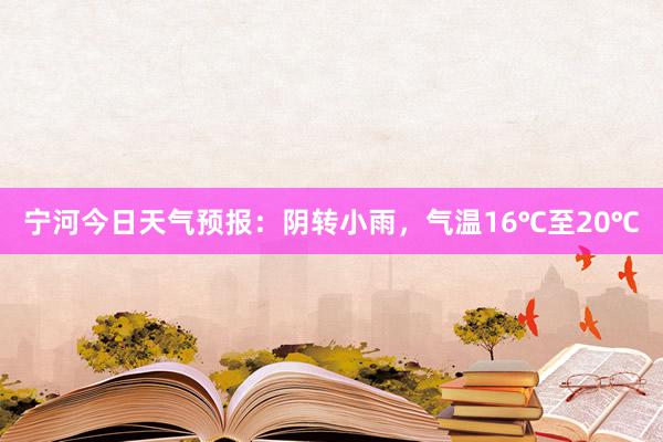 宁河今日天气预报：阴转小雨，气温16℃至20℃